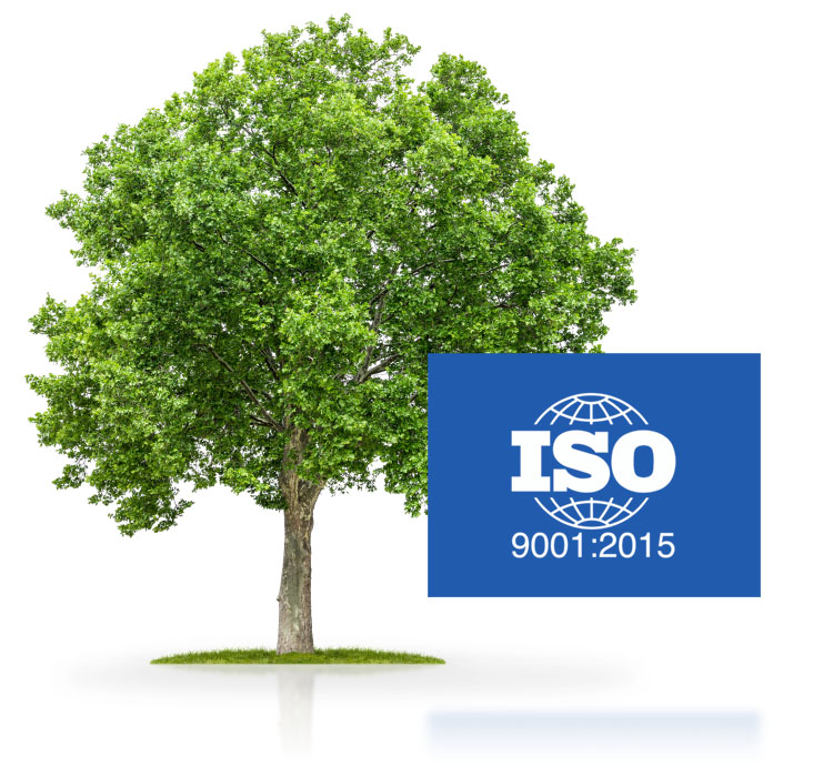 Grüner Baum ISO-Zertifizierung